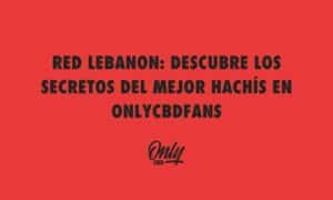 RED LEBANON DÉCOUVRE LES SECRETS DU MEILLEUR HASCHICH CHEZ ONLYCBDFANS