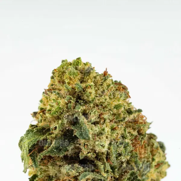 golden-nuggets-cbd-2