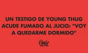 UN TESTIGO DE YOUNG THUG ACUDE FUMADO AL JUCIO: "VOY A QUEDARME DORMIDO"