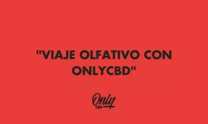 VIAJE OLFATIVO CON ONLYCBD