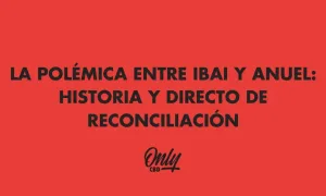 LA POLÉMICA ENTRE IBAI Y ANUEL