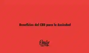 Beneficios del CBD para la Ansiedad