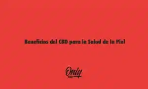 Beneficios del CBD para la Salud de la Piel
