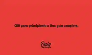 CBD para principiantes