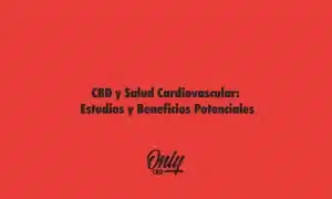 CBD y Salud Cardiovascular