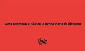 Cómo Incorporar el CBD en la Rutina Diaria de Bienestar