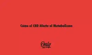 Cómo el CBD Afecta al Metabolismo