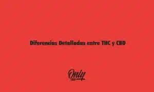 Diferencias Detalladas entre THC y CBD