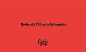 Efectos del CBD en la Inflamación