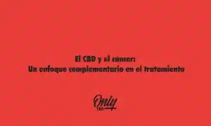 El CBD y el cáncer