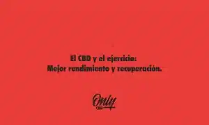 El CBD y el ejercicio