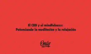 El CBD y el mindfulness