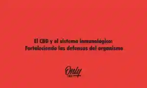 El CBD y el sistema inmunológico