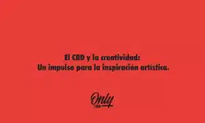 El CBD y la creatividad
