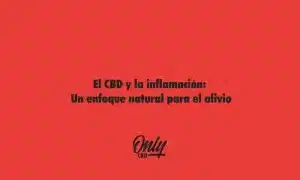 El CBD y la inflamación