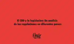 El CBD y la legislación