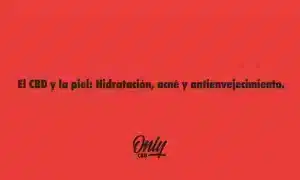 El CBD y la piel
