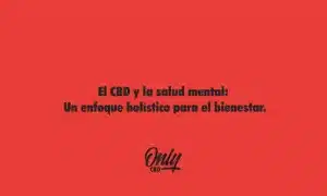 El CBD y la salud mental