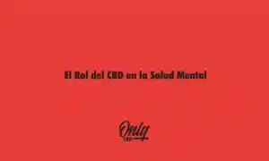 El Rol del CBD en la Salud Mental