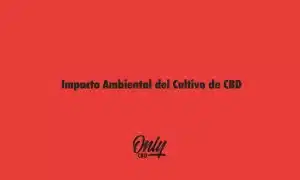 Impacto Ambiental del Cultivo de CBD