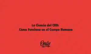 La Ciencia del CBD