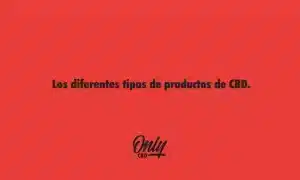 Los diferentes tipos de productos de CBD.