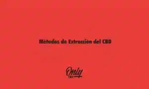 Métodos de Extracción del CBD