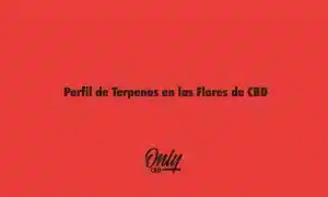 Perfil de Terpenos en las Flores de CBD
