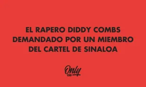 Diddy Combs