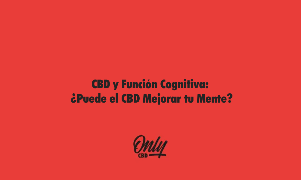 CBD y función cognitiva
