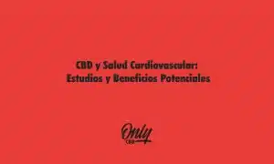CBD y Salud Cardiovascular