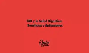 CBD y la Salud Digestiva