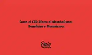 Cómo el CBD Afecta al Metabolismo