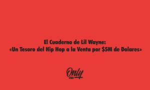 El cuaderno de lil wayne