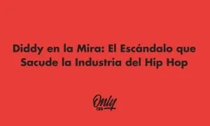 Diddy en la mira
