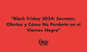 Black friday 2024