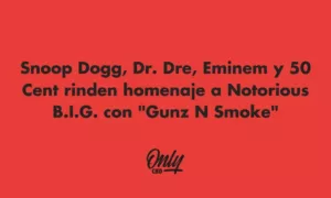 Snoop Dogg, Dr. Dree, Eminem y 50 Cent rinden homenaje a Notorious