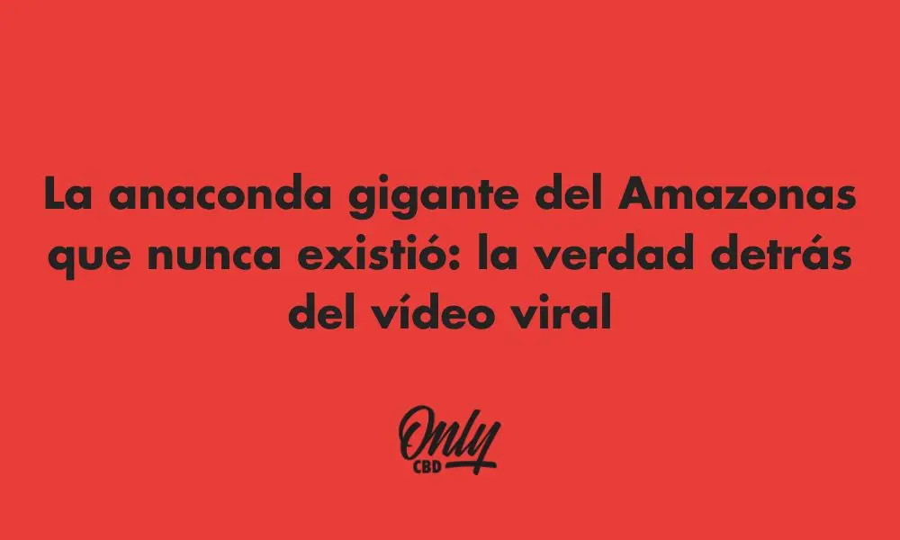 La anaconda gigante del Amazonas que nunca existió: la verdad detrás del vídeo viral