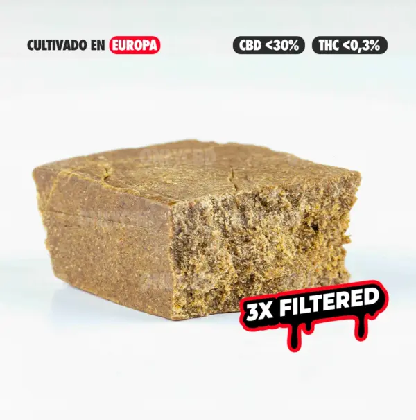 BLONDY 77 CULTIVO