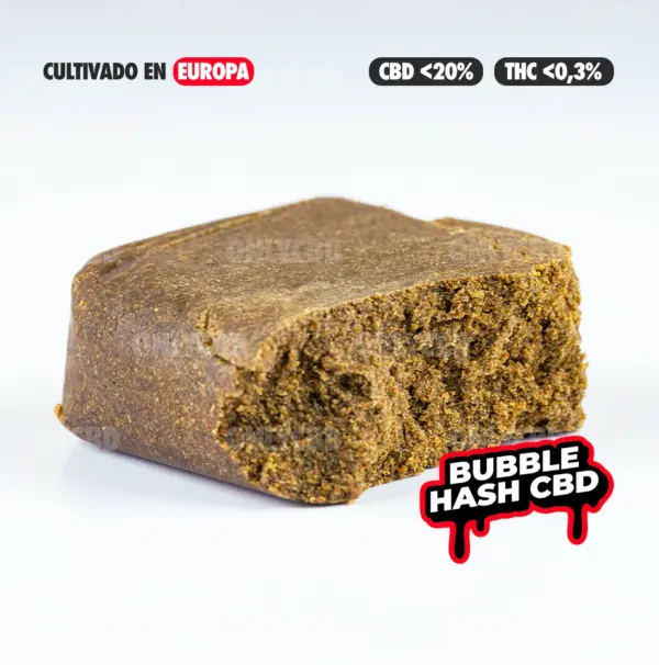CHOCODRIP CULTIVO