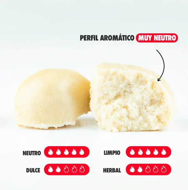 CREAMY NOTAS
