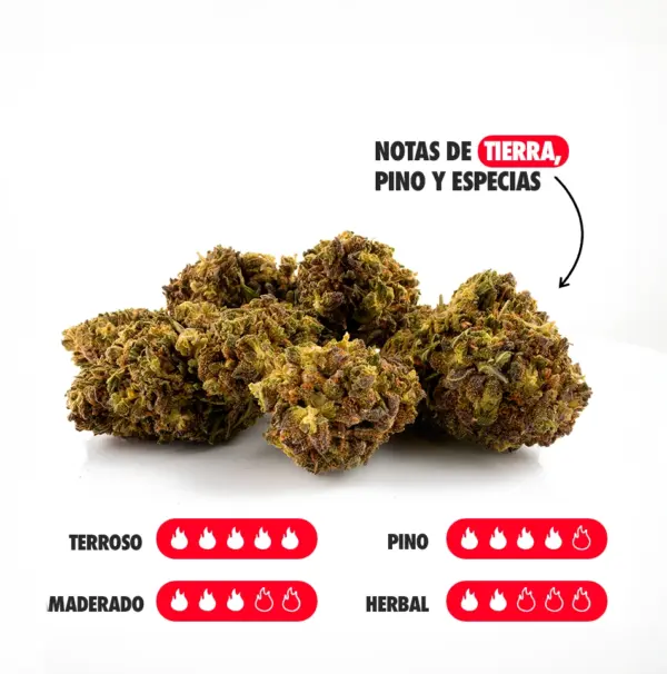 KRIPPY KUSH NOTAS