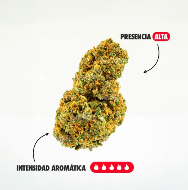 ZKITTLEZ AROMA