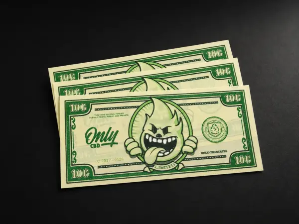 paper-moneywrap2