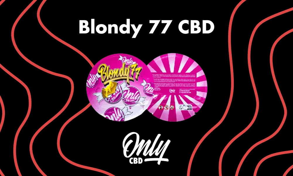 Resina Blondy 77 tipo Ice-O-Lator 3X Filtered de color crema, textura maleable y alta pureza con CBD del 30%.