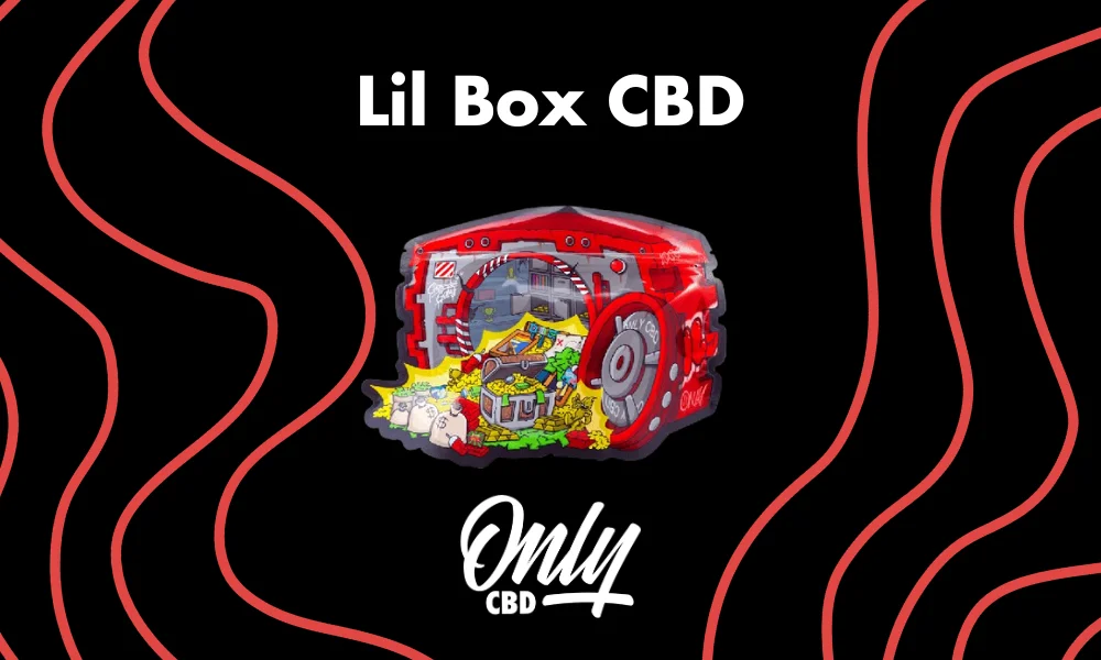 Mix de mini buds de CBD Lil Box cultivados en Greenhouse, flores compactas y resinosas de alta gama para coleccionismo.