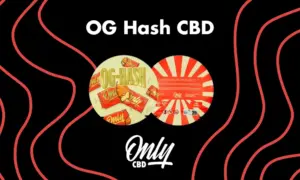 Resina de polen OG Hash CBD con 25% de CBN, textura esponjosa y color marrón oscuro sobre fondo de madera.
