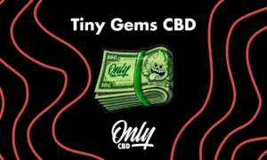 Cogollos pequeños Tiny Gems CBD de genética OG Kush con alta concentración de resina y color verde intenso sobre fondo neutro.