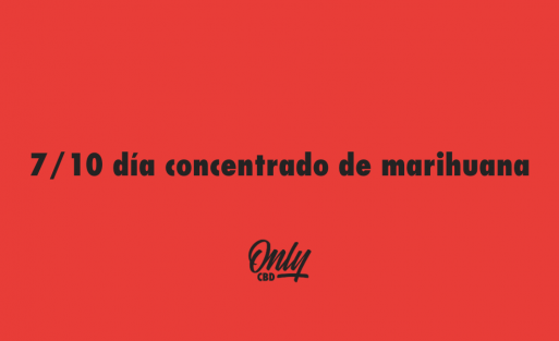 710 día concentrado de marihuana