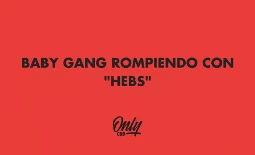 baby gang rompiendo con hebs